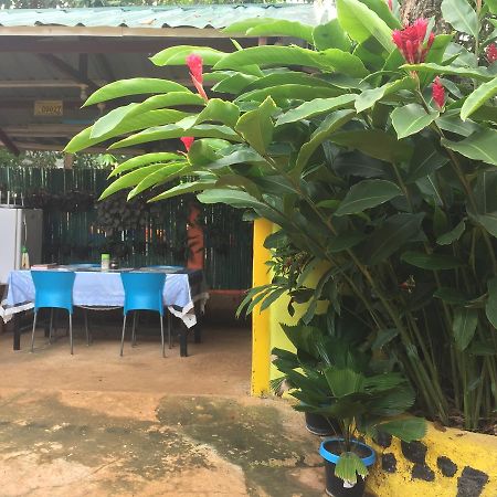 Amelia Homestay Puerto Princesa Extérieur photo
