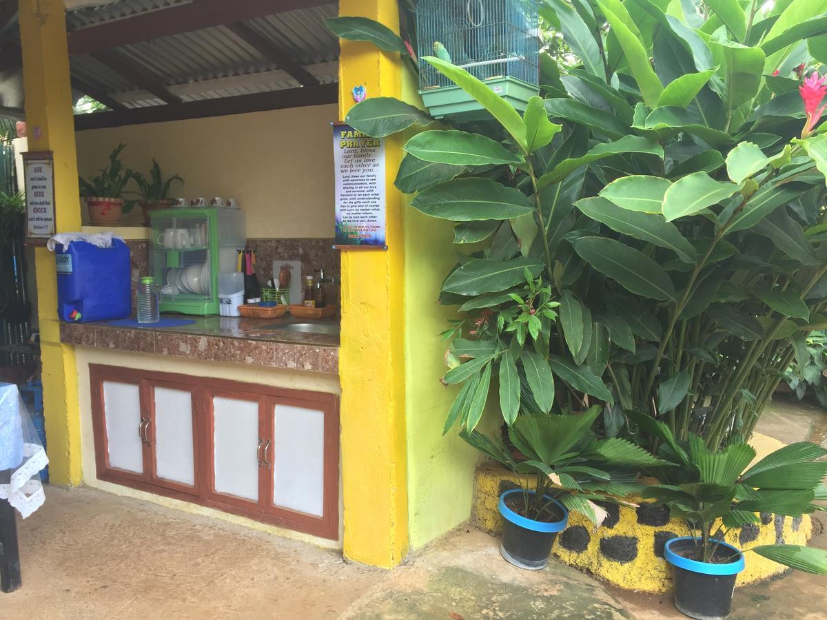 Amelia Homestay Puerto Princesa Extérieur photo